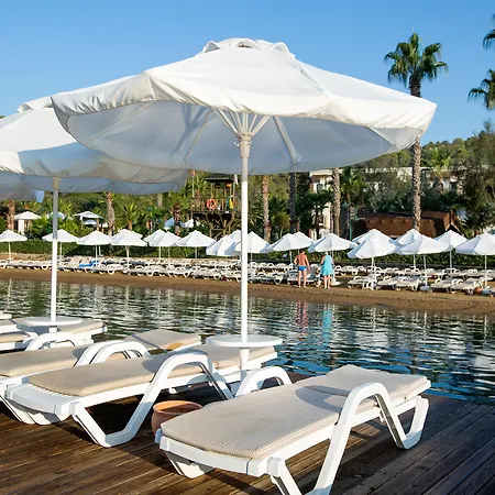 Bay & Guvercinlik (Bodrum)