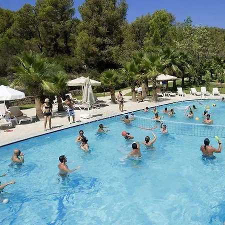 Bay & Guvercinlik (Bodrum)