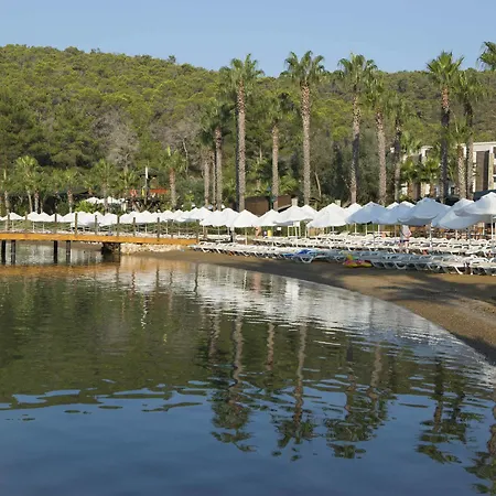 Bay & Guvercinlik (Bodrum)