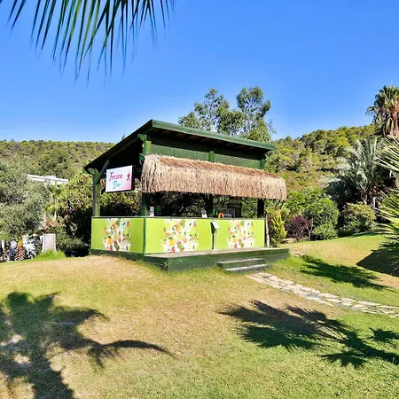 Bay & Guvercinlik (Bodrum)