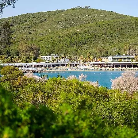 Resort Bay &