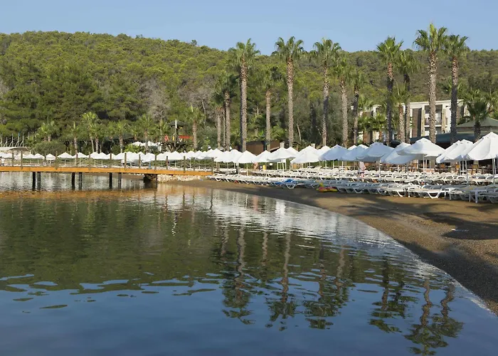 Bay & Guvercinlik (Bodrum)